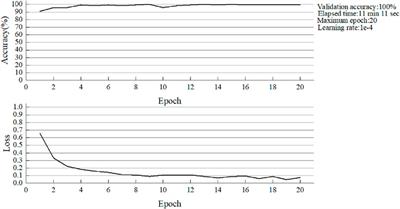 Damage detection of composite laminates based on deep learnings